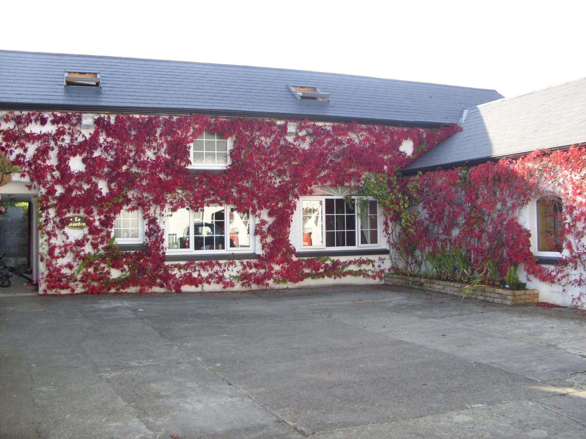 Townsend House Guest House بير المظهر الخارجي الصورة